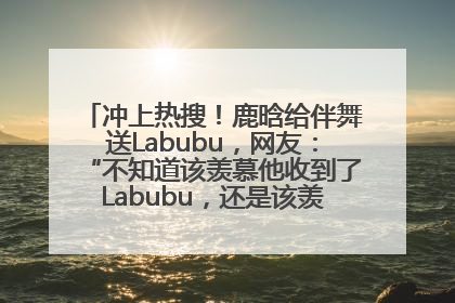 冲上热搜！鹿晗给伴舞送Labubu，网友：“不知道该羡慕他收到了Labubu，还是该羡慕鹿晗送他礼物”