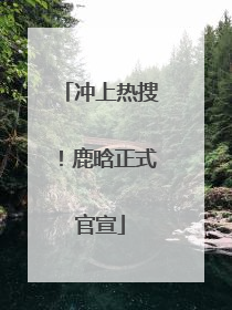 冲上热搜！鹿晗正式官宣