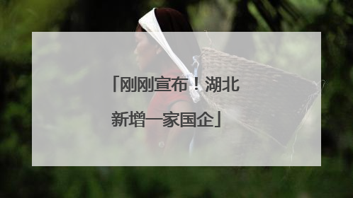刚刚宣布！湖北新增一家国企