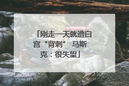 刚走一天就遭白宫“背刺” 马斯克：很失望