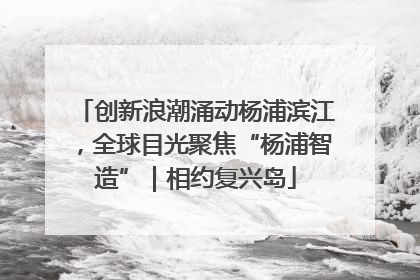 创新浪潮涌动杨浦滨江，全球目光聚焦“杨浦智造”｜相约复兴岛