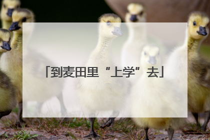 到麦田里“上学”去