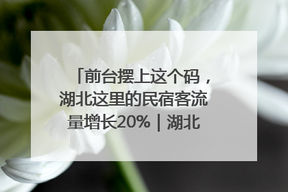 前台摆上这个码，湖北这里的民宿客流量增长20%｜湖北市场监管所的故事