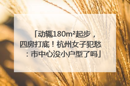 动辄180m²起步，四房打底！杭州女子犯愁：市中心没小户型了吗