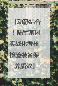 动静结合！陆军某团实战化考核检验装备保养质效