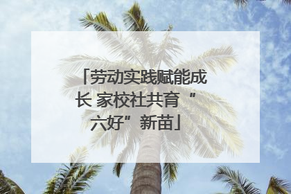劳动实践赋能成长 家校社共育“六好”新苗