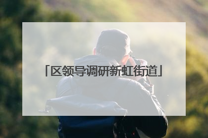 区领导调研新虹街道