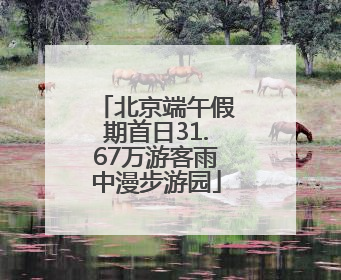 北京端午假期首日31.67万游客雨中漫步游园