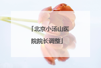 北京小汤山医院院长调整