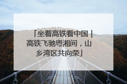 坐着高铁看中国｜高铁飞驰粤湘间，山乡湾区共向荣