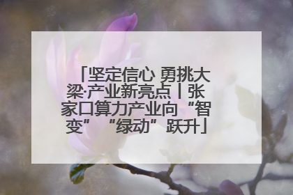 坚定信心 勇挑大梁·产业新亮点丨张家口算力产业向“智变”“绿动”跃升