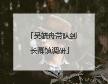 吴毓舟带队到长卿镇调研