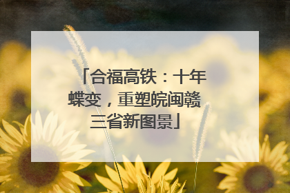 合福高铁：十年蝶变，重塑皖闽赣三省新图景