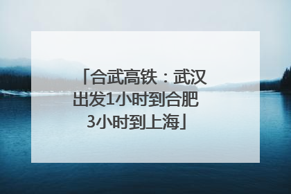 合武高铁：武汉出发1小时到合肥3小时到上海