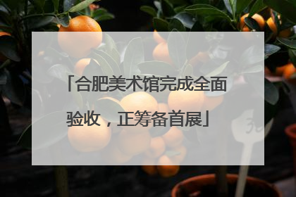 合肥美术馆完成全面验收，正筹备首展