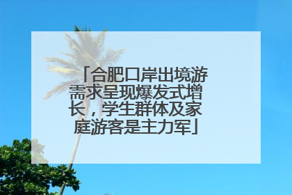 合肥口岸出境游需求呈现爆发式增长，学生群体及家庭游客是主力军