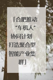 合肥推动“车机人”协同计划 打造聚合型智能产业集群