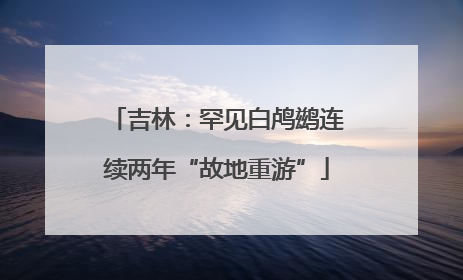 吉林：罕见白鸬鹚连续两年“故地重游”