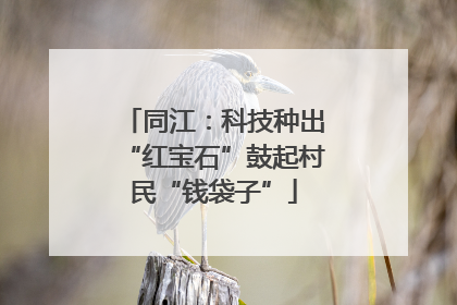 同江：科技种出“红宝石”鼓起村民“钱袋子”