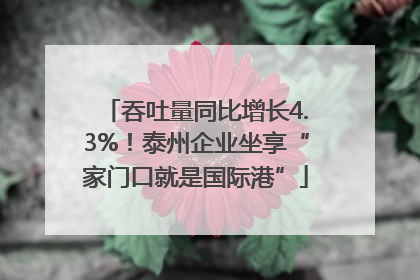 吞吐量同比增长4.3%！泰州企业坐享“家门口就是国际港”