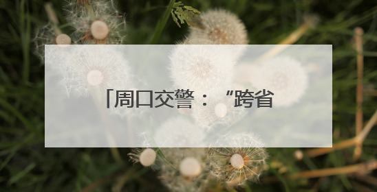 周口交警：“跨省联动”护平安！