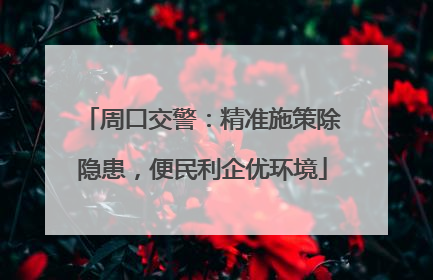 周口交警：精准施策除隐患，便民利企优环境