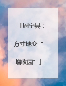 周宁县：方寸地变“增收园”