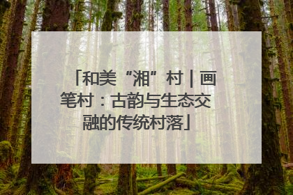 和美“湘”村｜画笔村：古韵与生态交融的传统村落