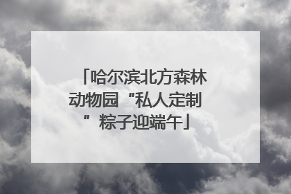 哈尔滨北方森林动物园“私人定制”粽子迎端午