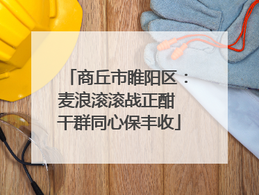 商丘市睢阳区：麦浪滚滚战正酣 干群同心保丰收