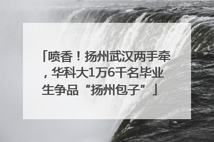 喷香！扬州武汉两手牵，华科大1万6千名毕业生争品“扬州包子”