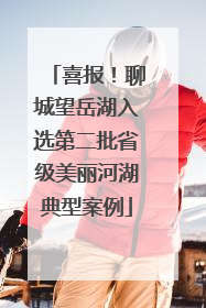 喜报！聊城望岳湖入选第二批省级美丽河湖典型案例