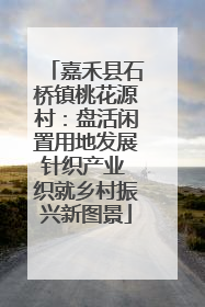 嘉禾县石桥镇桃花源村：盘活闲置用地发展针织产业 织就乡村振兴新图景