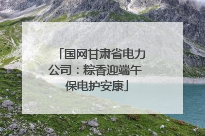 国网甘肃省电力公司：粽香迎端午 保电护安康