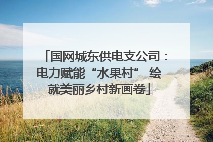 国网城东供电支公司：电力赋能“水果村” 绘就美丽乡村新画卷