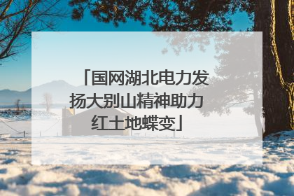 国网湖北电力发扬大别山精神助力红土地蝶变
