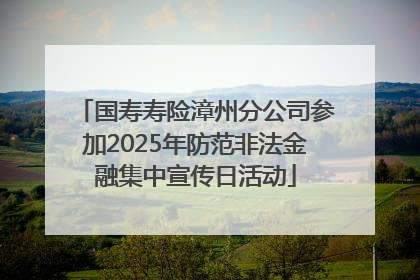 国寿寿险漳州分公司参加2025年防范非法金融集中宣传日活动