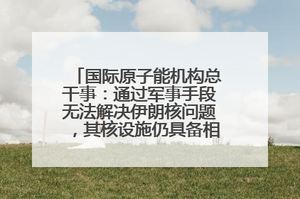 国际原子能机构总干事：通过军事手段无法解决伊朗核问题，其核设施仍具备相关产能，只需要数月就能生产出浓缩铀