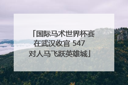 国际马术世界杯赛在武汉收官 547对人马飞跃英雄城