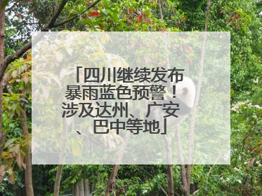 四川继续发布暴雨蓝色预警！涉及达州、广安、巴中等地