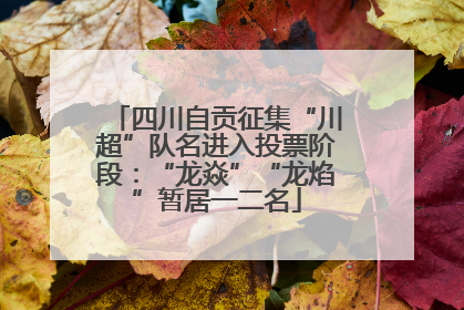 四川自贡征集“川超”队名进入投票阶段：“龙焱”“龙焰”暂居一二名