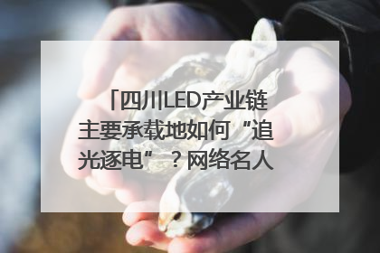 四川LED产业链主要承载地如何“追光逐电”？网络名人走进攀枝花找答案｜网络名人四川行