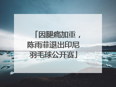 因腿痛加重，陈雨菲退出印尼羽毛球公开赛