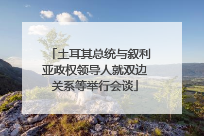 土耳其总统与叙利亚政权领导人就双边关系等举行会谈