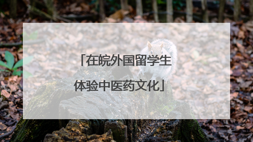 在皖外国留学生体验中医药文化