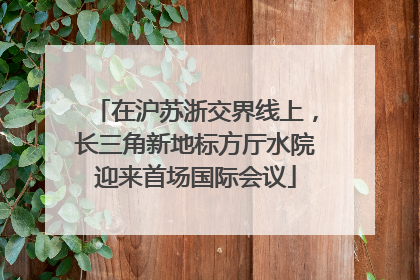 在沪苏浙交界线上，长三角新地标方厅水院迎来首场国际会议