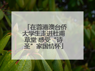 在蓉港澳台侨大学生走进杜甫草堂 感受“诗圣”家国情怀