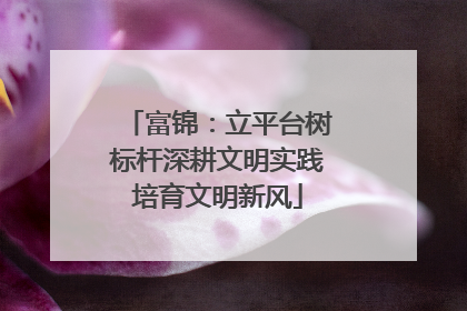 富锦：立平台树标杆深耕文明实践培育文明新风