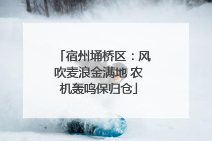 宿州埇桥区：风吹麦浪金满地 农机轰鸣保归仓