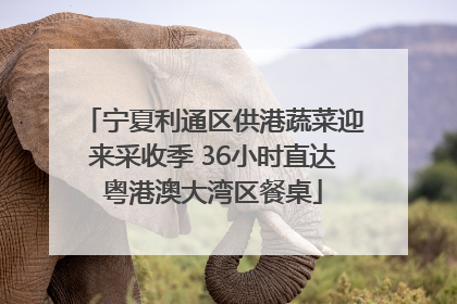 宁夏利通区供港蔬菜迎来采收季 36小时直达粤港澳大湾区餐桌